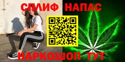стаф Бузулук
