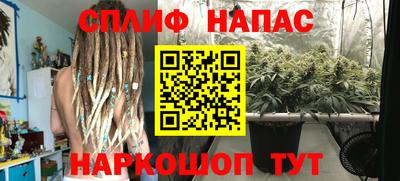 молекула духа Будённовск