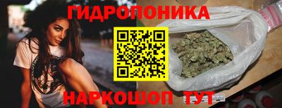 молекула духа Будённовск