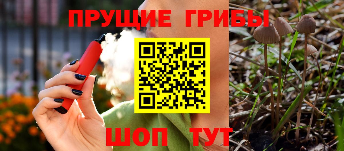 Лобня  Галлюциногенные грибы Cubensis  Псилоцибиновые грибы Cubensis  Вход с VPN 