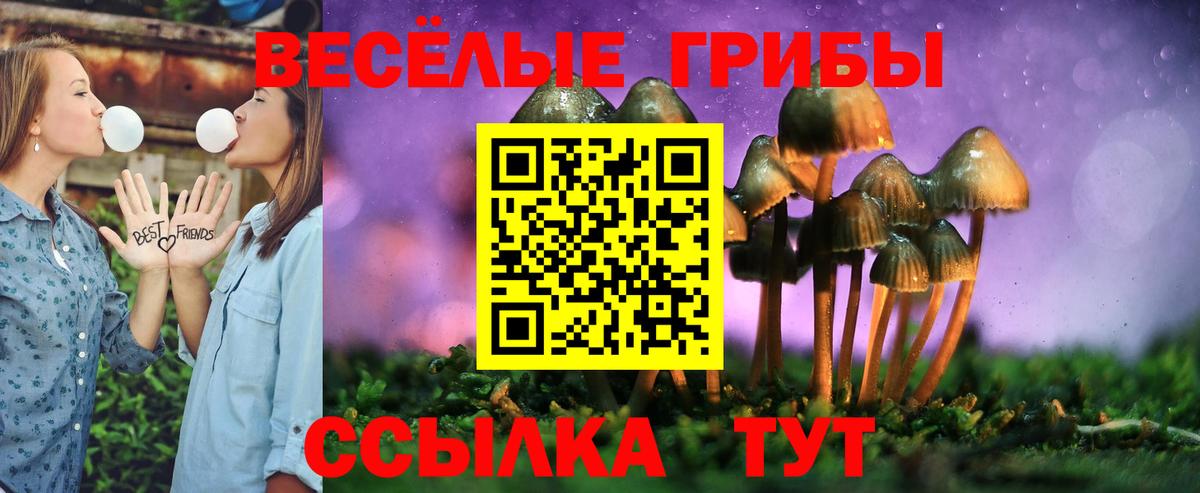 Галлюциногенные грибы мицелий Лобня